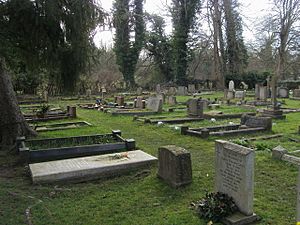 Graveyard of Holy Trinity Church - geograph.org.uk - 1172607