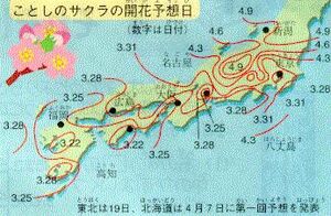 Hanami 2006