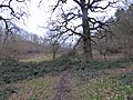 Harlestone Heath south 2