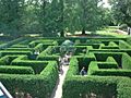 Hedge Maze, St Louis Botanical Gardens (St Louis, Missouri - June 2003)