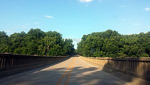 Highway 79 bridge near Clarendon, AR 001