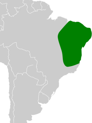 Icterus jamaicaii map.svg