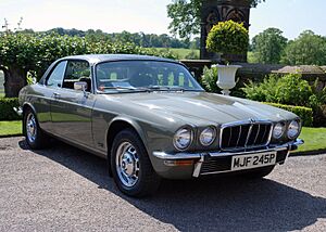 Jaguar (3573353408)