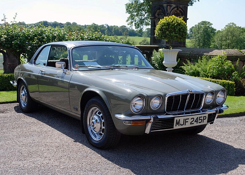 Jaguar (3573353408)