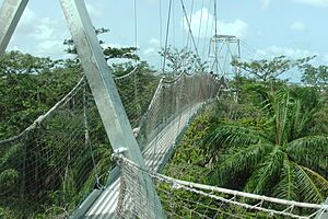 LEKKI CONSERVATION CENTRE (LCC) 10