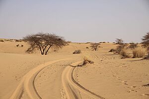 Landscape of the Aoukar