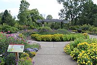 Matthaei Botanical Gardens Gateway Garden of New World Plants.JPG