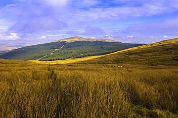 Meikle Bin - geograph.org.uk - 1565575.jpg