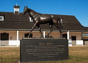 Mill Reef at Rokeby