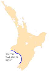 NZ-S Taranaki B