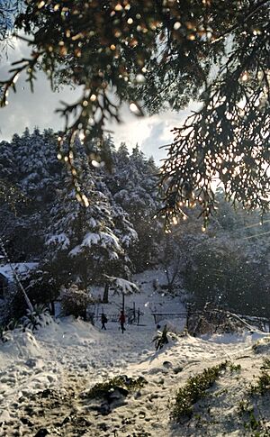 Naini Peak in Winters