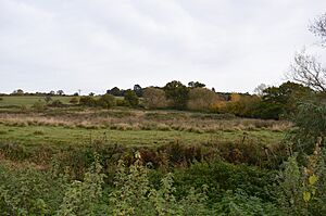 Nares Gladley Marsh 1