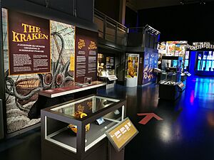 National Maritime Museum Cornwall - Monsters of the Deep 11