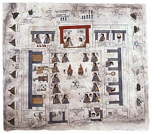 Nezahualcoyotl Palace Codex Quinatzin