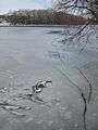 Ogle County Oregon Il Rock River2