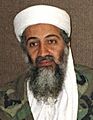 Osama bin Laden in 2001 (cropped)
