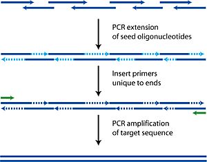 PCA polymerase cycling assembly