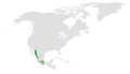 Poecile sclateri distribution map