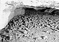 Rampart Cave interior sloth dung