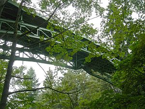 A steel-arched bridge over a wooded ravine