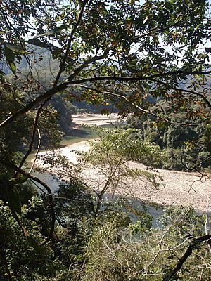 Rio Tarija & rio chiquiaca