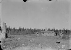 Ruins of Fort Reliance cabin.jpg