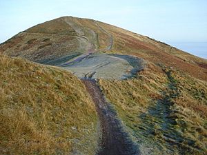 Saddle south of the Worcestershire Beacon - geograph.org.uk - 645983