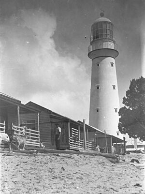 Sandy Cape lighthouse seen from the front of the lighthouse keepers' cottages, Fraser Island, 1907