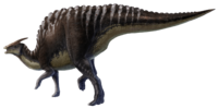 Saurolophus angustirostris.png