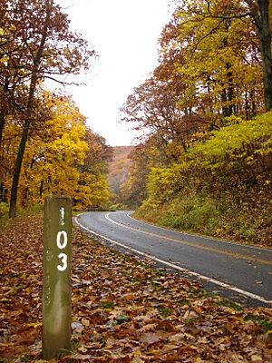 Shenandoah SkylineDrive Milemarker103 FallColors