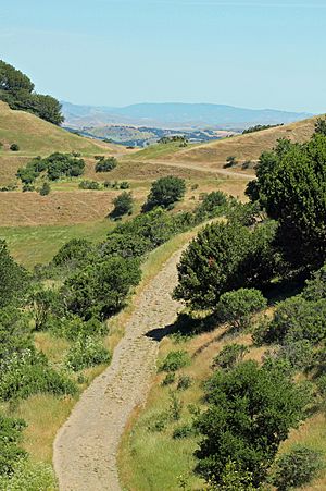 Sibley Volcanic Regional Preserve - Stierch B