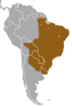Six-banded Armadillo area