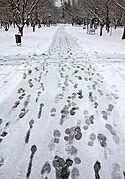 Snow in Mashhad - 17 December 2012 11