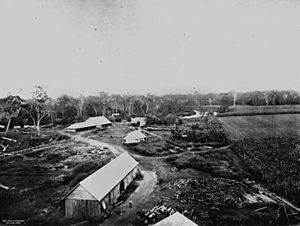 StateLibQld 2 113592 Morayfield Sugar Plantation at Caboolture, 1873