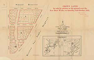 StateLibQld 2 262876 Estate map of the Town of Pinkenba, Brisbane, Queensland, 1892