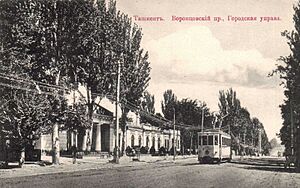 Tashkent the building of town council 02