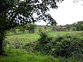 Terrace Hill Pasture 5