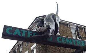 The Catford Cat