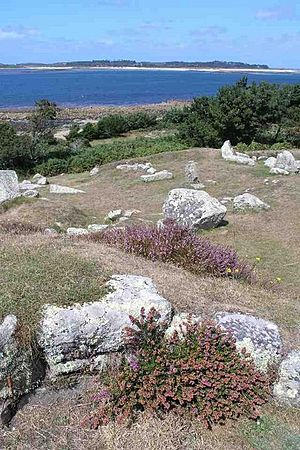The Halangy Down settlement - geograph.org.uk - 560649