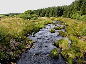 The Tarf Water - geograph.org.uk - 508241
