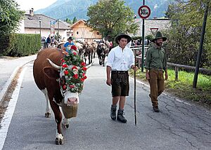 Transumanza a Dobbiaco 2017 - 06