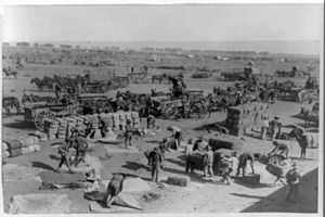 U.S. Army Punitive Expedition after Villa, Colonia Dublan, Mexico, 1916. American Headquarters- Unloading supplies from Mexican train which has come from Juarez on the border LCCN2002718570