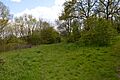 Vange Hill 9