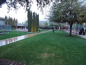 View of Phoenix Art museum outdoor garden area