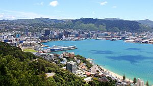 View of Wellington from Mt Victoria (10)