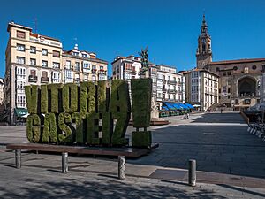 Vitoria - Plaza Virgen Blanca 01