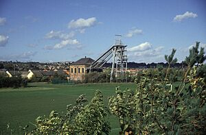 Washington F Pit - geograph.org.uk - 614458