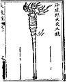 Yaksha lance