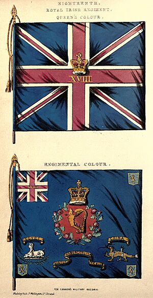 18th Foot colours