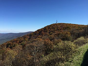 2016-10-25 12 37 17 View east from the Hogback Overlook along Shenandoah National Park's Skyline Drive in Warren County, Virginia.jpg